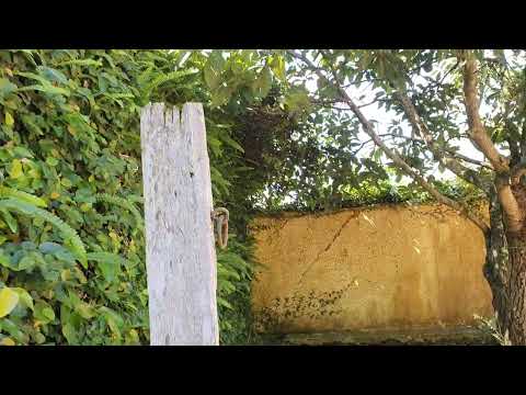 Visita Lapa Paraná,casa Lacerda.