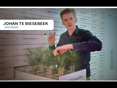 download lagu mp3 mp4 Medicinale Cannabisolie Apotheek, download lagu Medicinale Cannabisolie Apotheek gratis, unduh video klip Medicinale Cannabisolie Apotheek