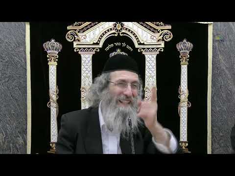 די לייג אריין דיינע כחות און די ביסט די זעלבע חשוב