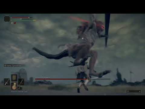 Elden Ring Dual wield swords against Leonine Misbegotten