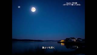 【歌ってみた】Gackt / 月の詩（前半のみ）