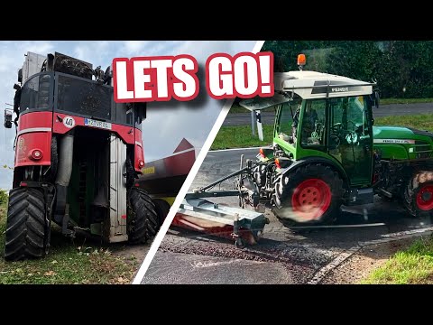 Der tägliche Erntewahnsinn 🍇✨ #1