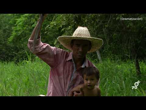 Esto es lo que en verdad ocurrió en la Masacre de las Rubieras