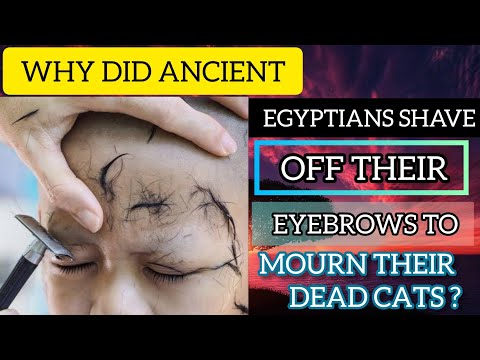 Why did Ancient Egyptians shave off their eyebrows to mourn their dead Cats ?