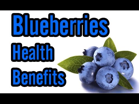 download lagu mp3 mp4 1 Serving Of Blueberries, download lagu 1 Serving Of Blueberries gratis, unduh video klip 1 Serving Of Blueberries