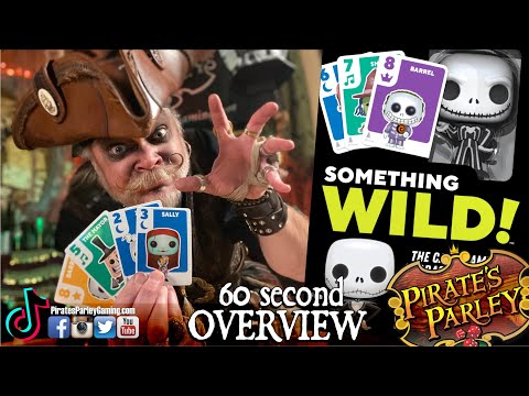 Something Wild: Nightmare Before Christmas 60-second overview!