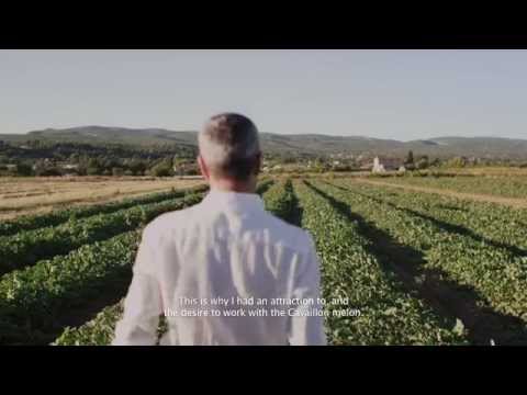 GREY GOOSE VODKA video