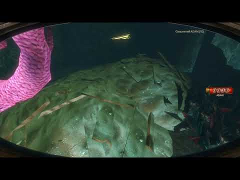 Erstmal Blumen pflücken/ Let's Play Bioshock 2 Remastered Part 17