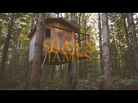 Not Alone - Shawn James