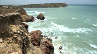 The Voyage of the Sea Wolf by Eve Bunting