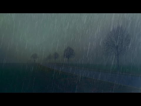 Best Heavy Torrential Rain and Cyclone with Thunder Sound To Beat Insomnia Instantly