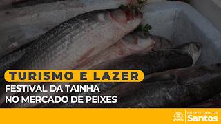 Turismo e Lazer - Festival da Tainha premium no mercado de peixes