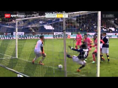 Raiffeisen Super League: FC Luzern 1:3 Grasshoppers Zürich (19. Spieltag, 02.02.14)