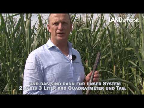 Darchau (Amt Neuhaus): Deutschlands größte Unterflurbewässerung im Ackerbau