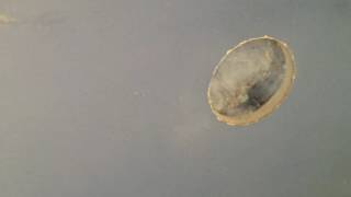 Best example of how to sound proof your bedroom and stop traffic noise.