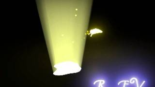 Glowing Butterfly Portal Test anim