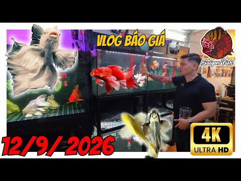 Phi Tần Trung Quốc Tuyển Đẹp Mới Về | Steven Phúc Giới Thiệu Loạt Tác Phẩm Cực Phẩm 2026