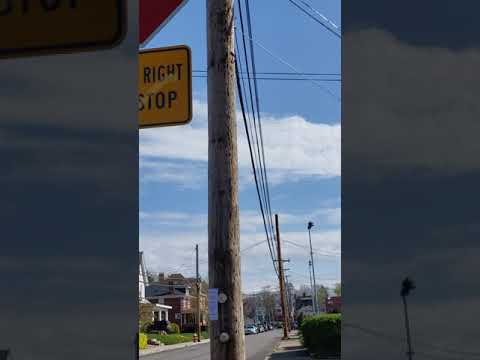 Bone Smartphone Lanyard Camera Footage Body Cam Configuration