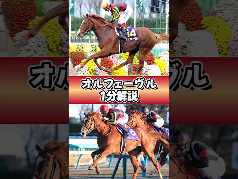 エクウス クアッガ (エクウス クアッガ クアッガ)