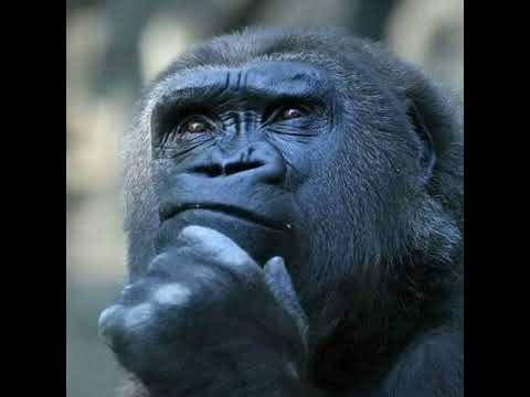 Mashup tests 3 (Cumbia, Pitbull, 90's House)