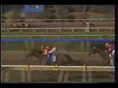 Bayakoa Milady Handicap 1990