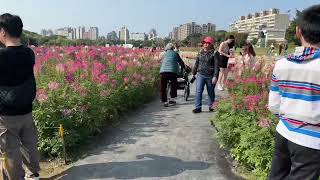 公館河濱公園2025年2月28日星期五🌤️