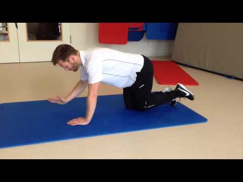 Übung 8 - Vierfüßlerstand