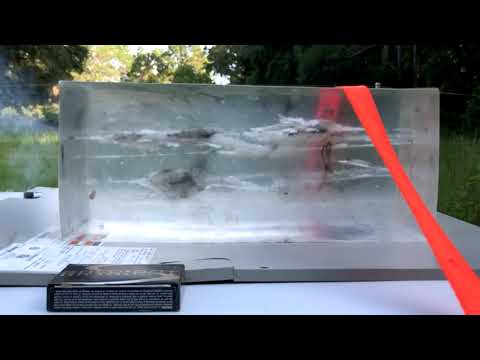 .223 Remington Clear Ballistics Gel Test: 75gr Speer Gold Dot (24475)