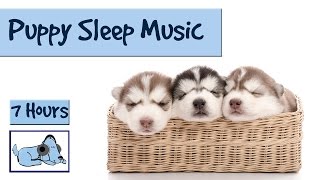 Help your Puppy go to Sleep at Night, with this 7 HOUR Song! Relax My Dog!