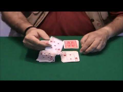 A Coincidence and Divination Routine by Wild-Colombini Magic - DVD