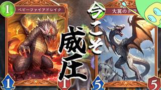 【ランクマ配信】ベビーファイアドレイク、お前はドラゴンの柱になれ│足りないカードでシャドウバース【シャドバWB/Shadowverse】