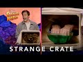 Strange World | Strange Crate