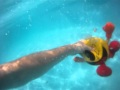 Pac Man Underwater