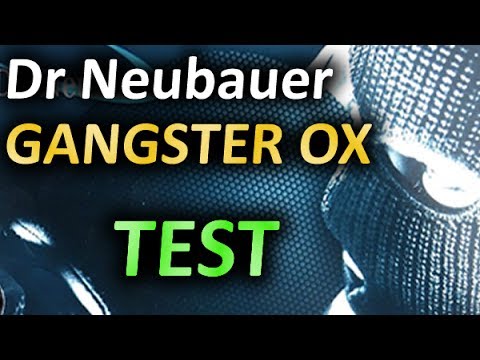 DR NEUBAUER Gangster OX pushing and chopping on RED + BLACK Kazak D