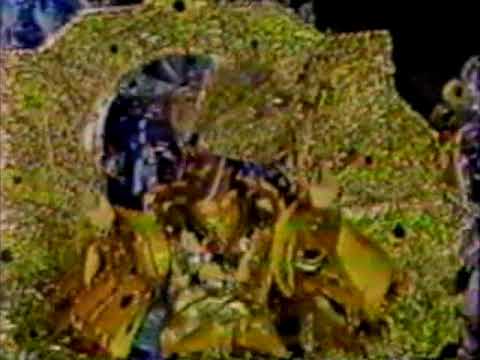 1981 Clevemore Fancy Brigade "Kaleidoscope In Motion" - 17th Place