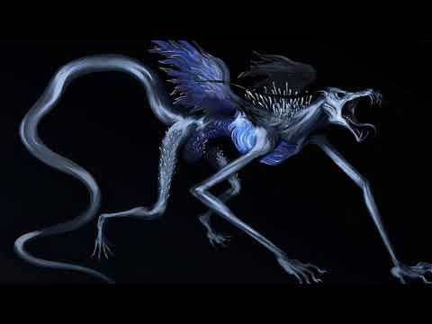 Havel & Savage Nature - Ocelotte