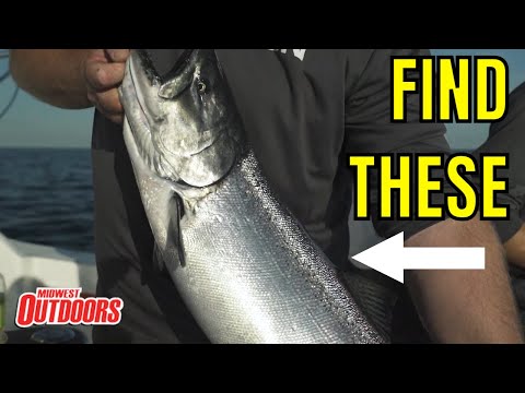 How to Locate Lake Trout and Salmon on Lake Michigan