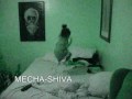 MECHASHIVA