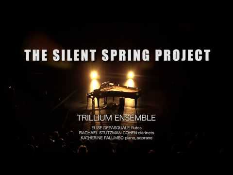 Citizen of the 21st Century Looks Back, The Silent Spring Project