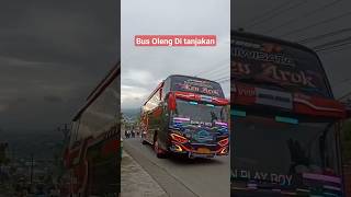 Download lagu Bus oleng Di Tanjakan #wisata #viralvideo #viralshorts mp3