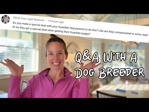How We Started As A Dog Breeder - Q&A