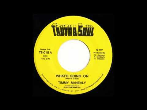Timothy McNealy - What's Going On