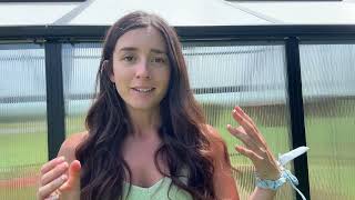 Millions of trees cut down for commercial solar complexes in New York State