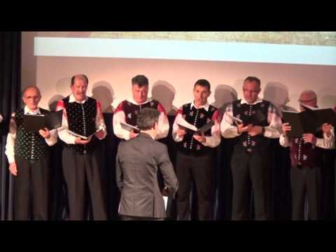 VINČEK NAS RAZVESELI, 45 LET MoPZ RADOMLJE, KONCERT KD RADOMLJE, 5  12  2015