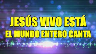 NACIONES MIX -  New Wine