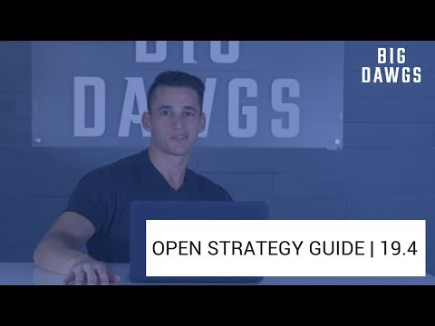 OPEN STRATEGY GUIDE | 19.4