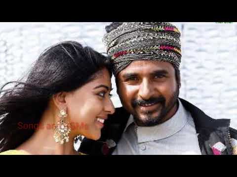 Namma Veettu Pillai bgm - Glimpse of Gaandakannazhagi