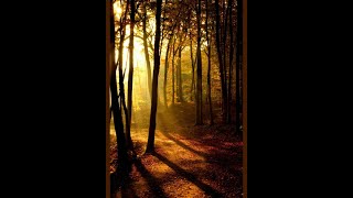 Download lagu STORY WA 2021 TERBARU || status wa romantis bulan juli lagu barat || story wa selamat pagi mp3