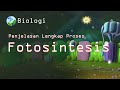 Complete Explanation Of Photosynthesis Light And Dark Reactions