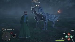 Hogwarts Legacy - Foal of The Dead: Conjure a Breeding Pen: Use The Breeding Pen To Breed Thestrals